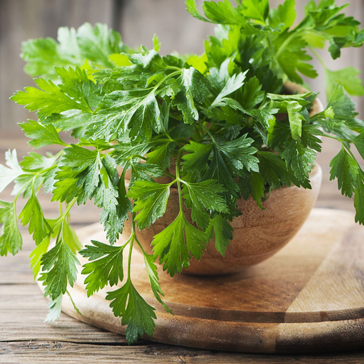 Green fresh parsley on the wooden table, selective focus; Shutterstock ID 398545906; Job (TFH, TOH, RD, BNB, CWM, CM): Taste of Home