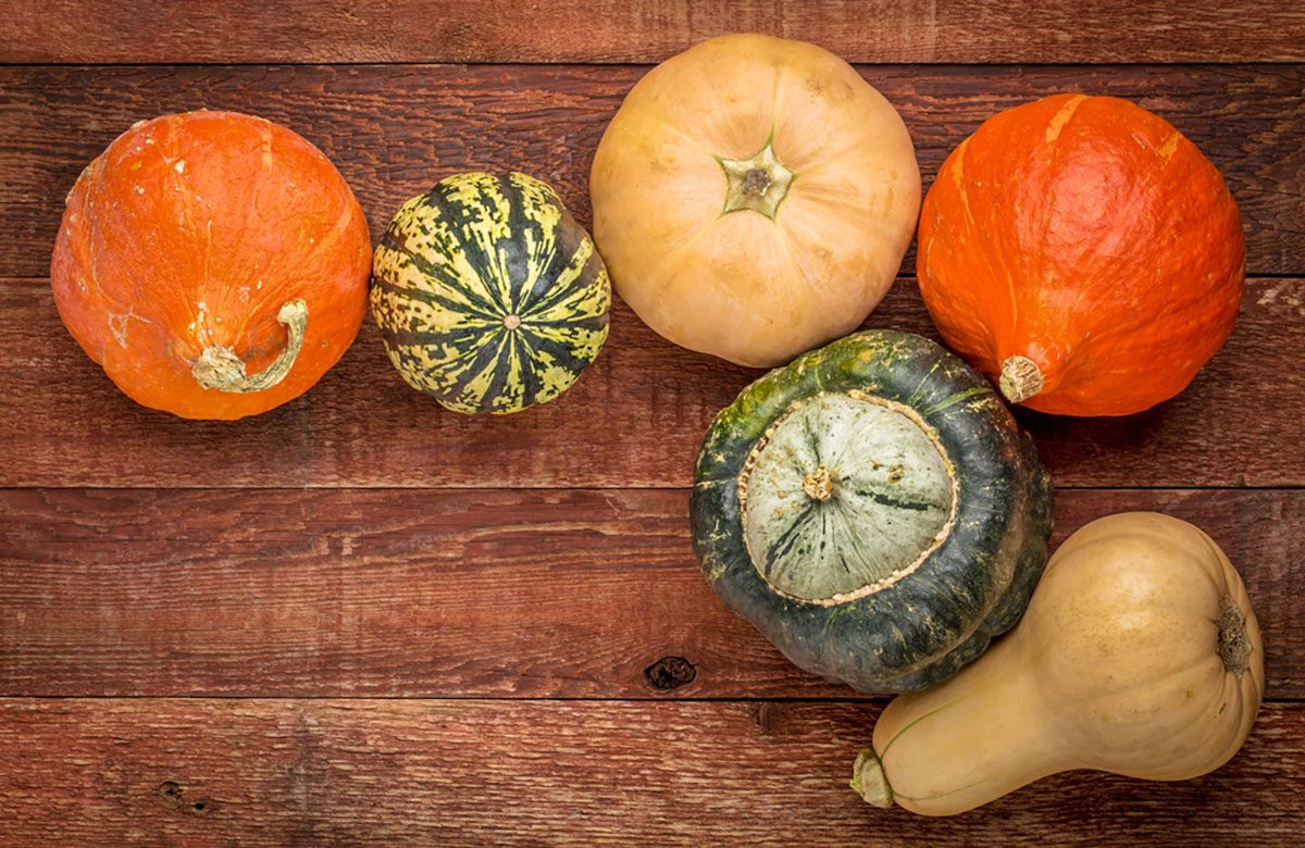 12 Types of Winter Squash—and Tips for How to Use Them
