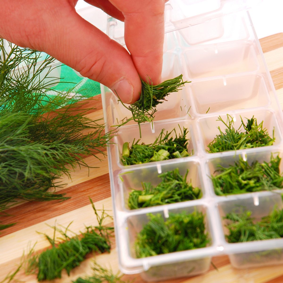 freezing the dill in ice cube mould for winter; Shutterstock ID 38673409