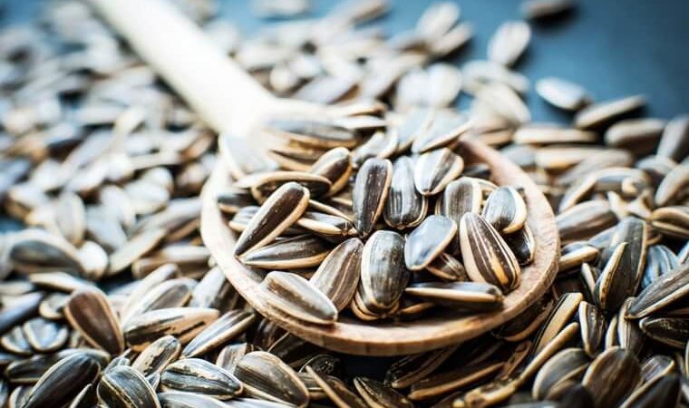 Hulled sunflower seeds in a wooden spoon