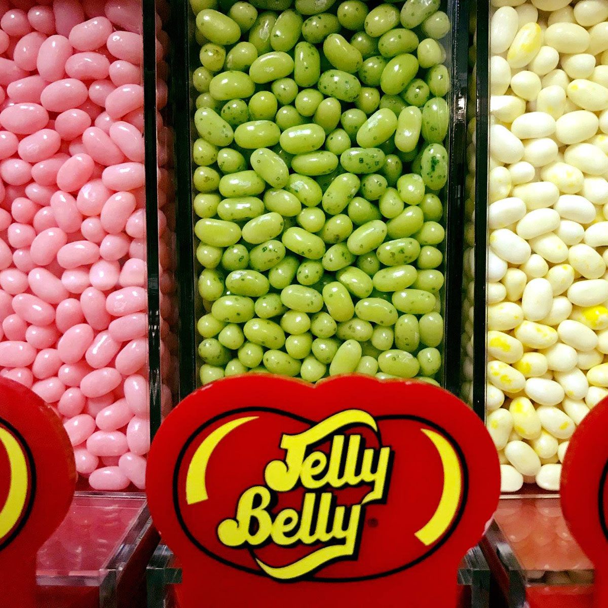 jelly belly flavors