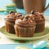 Spice Cupcakes with Mocha Frosting