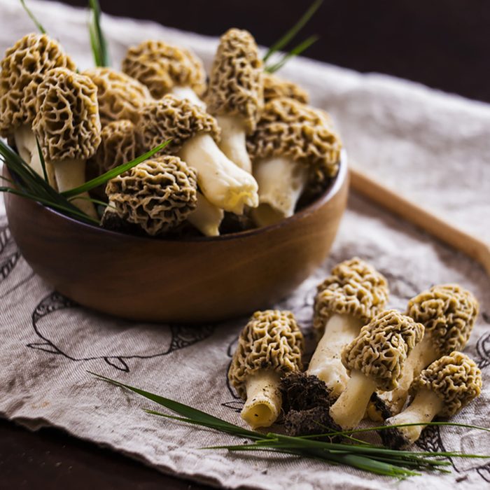 Fine cuisine, Morchella esculenta, (commonly known as common morel, morel, yellow morel, true morel, morel mushroom)