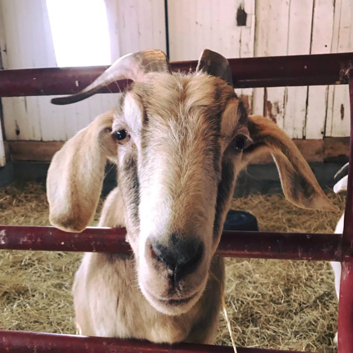 best farm tour michigan