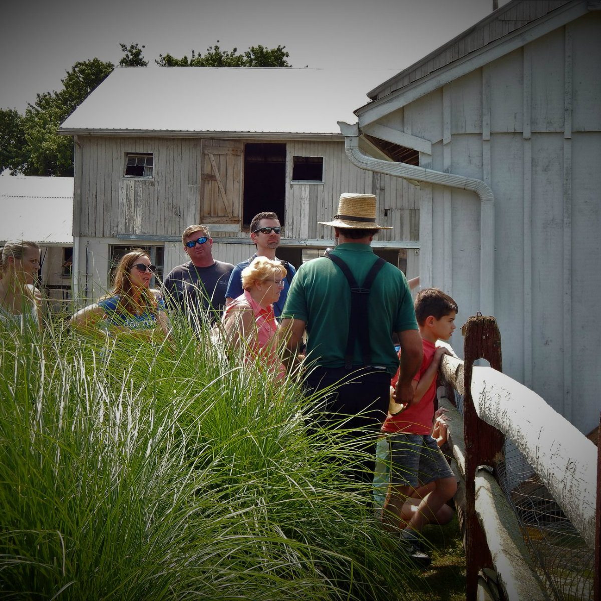 old windmill farm tour pennsylvania