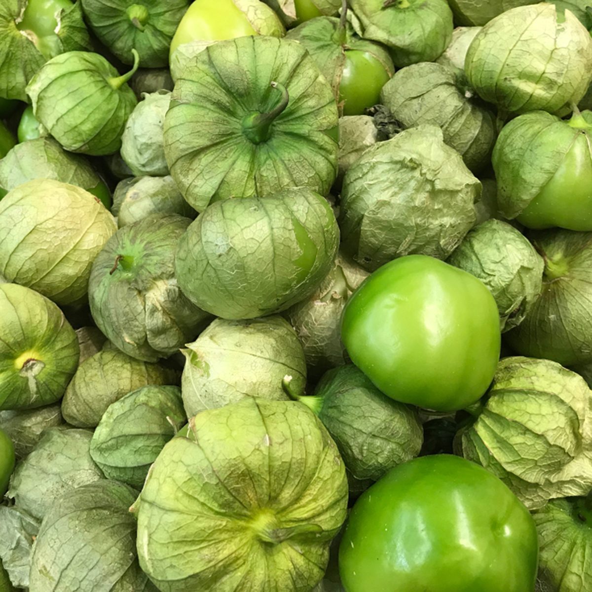 Fresh green tomatillo on the market