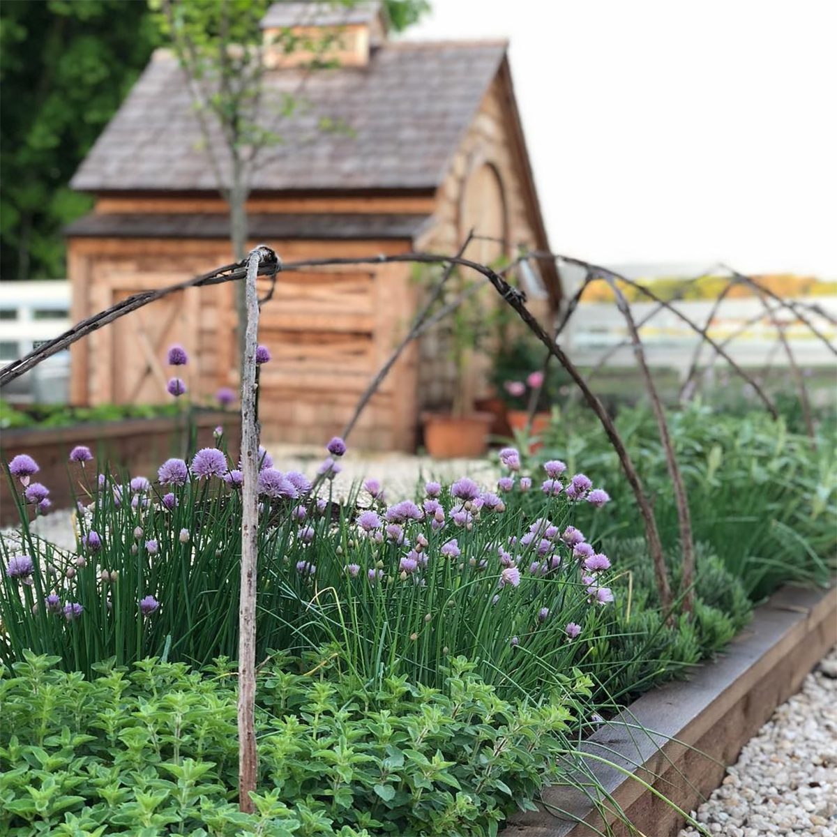 farmhouse or chicken coop in garden 