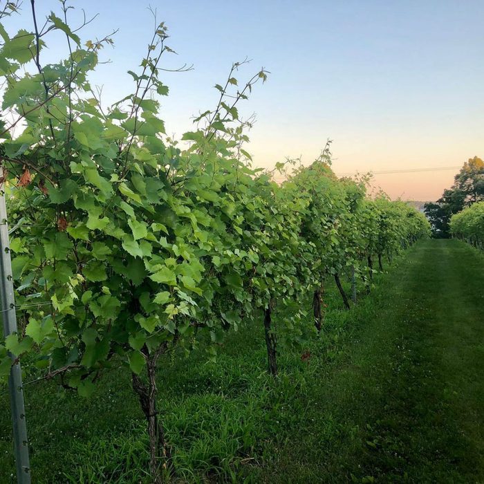 The Winery at Sovereign Estate