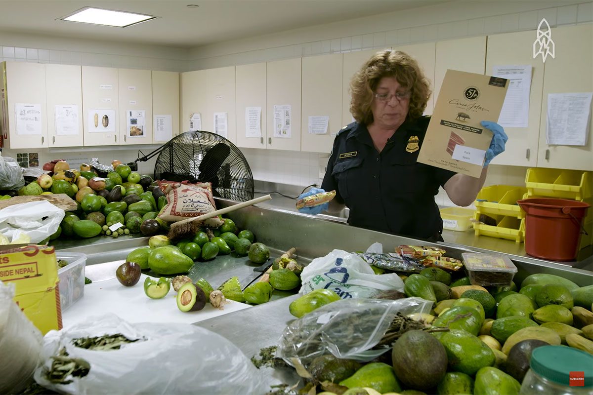 Here Is What Happens To All Your Confiscated Food At The Airport