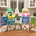 Our Definitive Ranking of Nondairy Milks