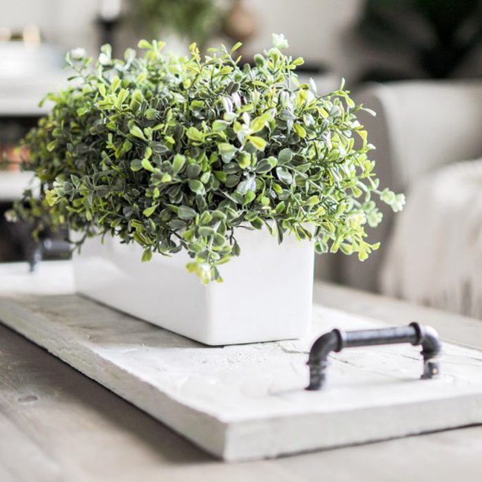 Concrete tray centerpiece