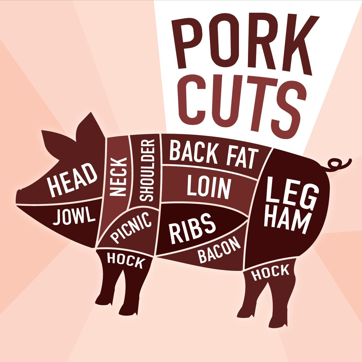 graphic of different cuts of pork on a pig