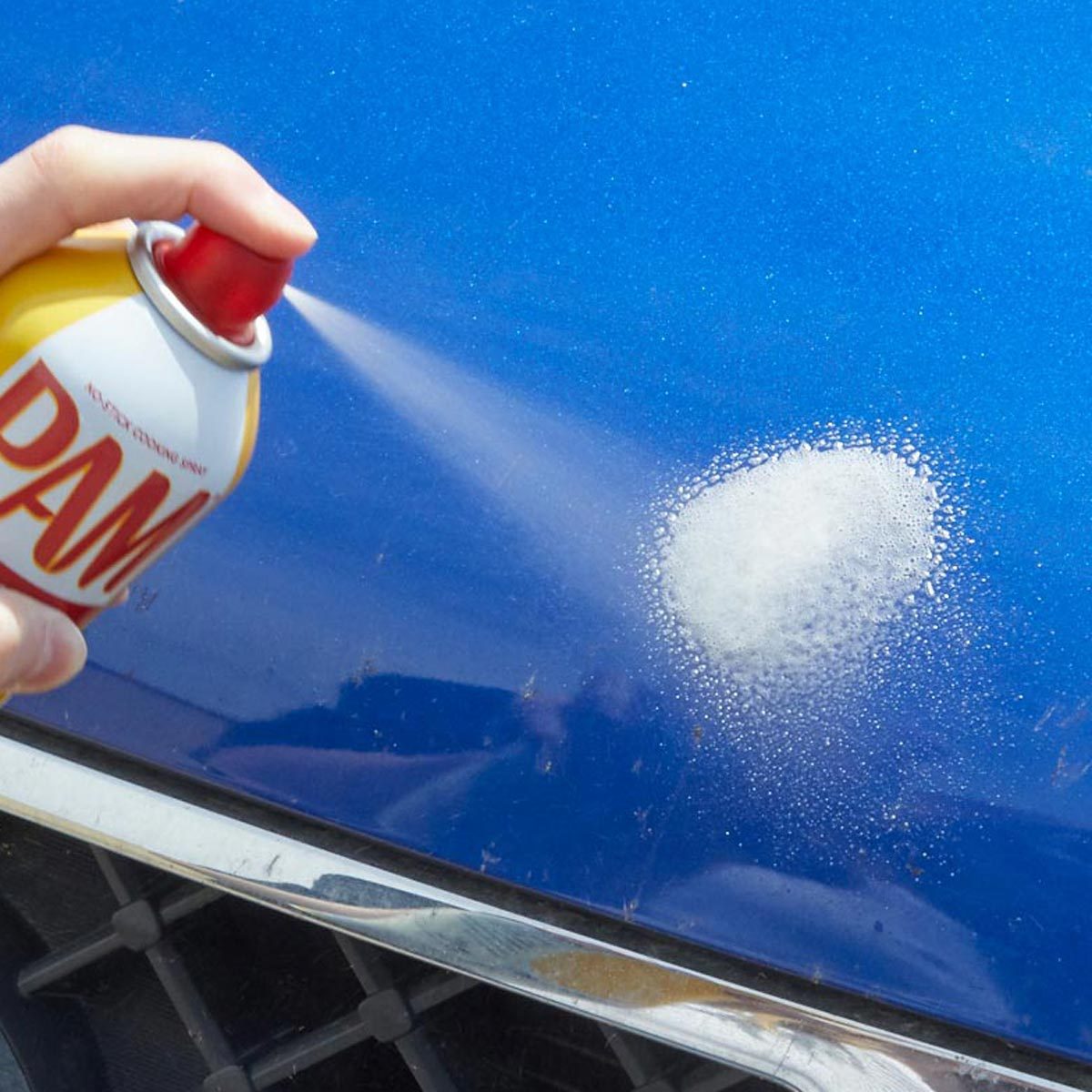 Cleaning bug splatter from car