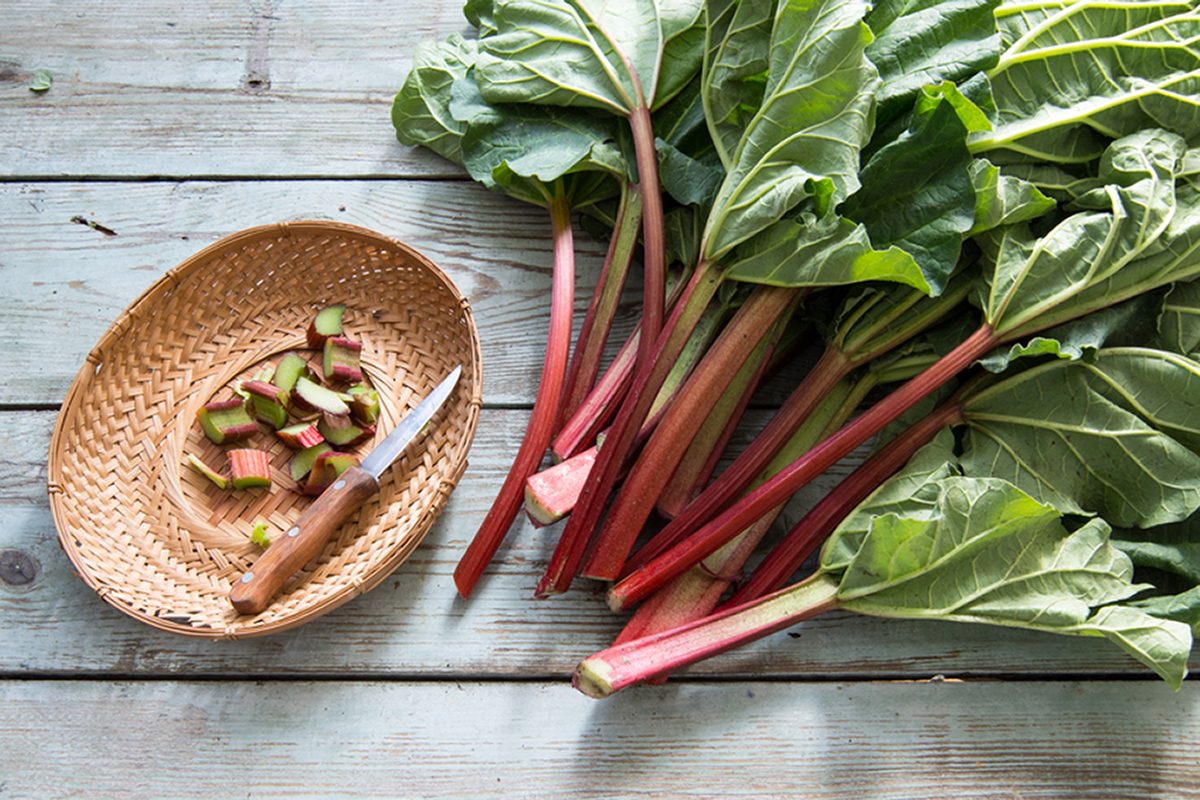 Are Rhubarb Leaves Really Toxic?