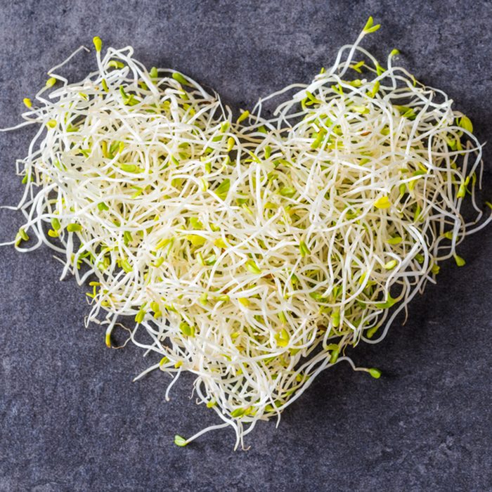 Alfalfa seed sprouts