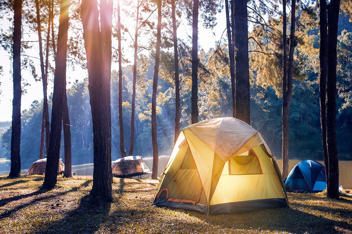 Camping and tent under the pine forest near the lake with beautiful sunlight in the morning