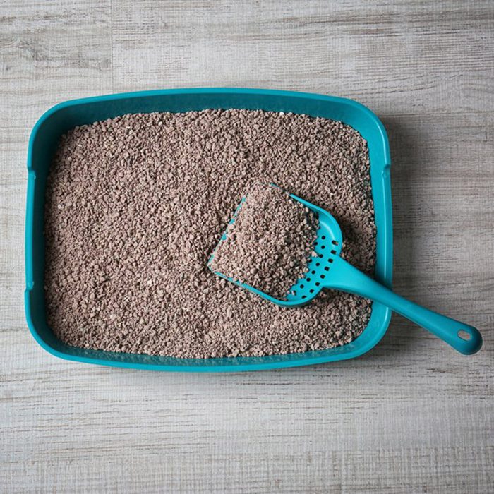 Cat litter