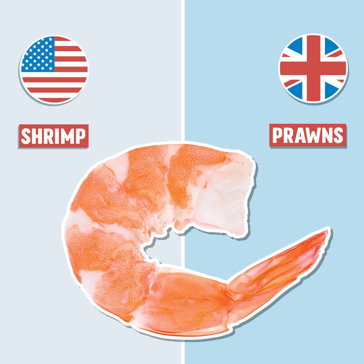 zucchini on blue background with american and british english pronunciation on either side