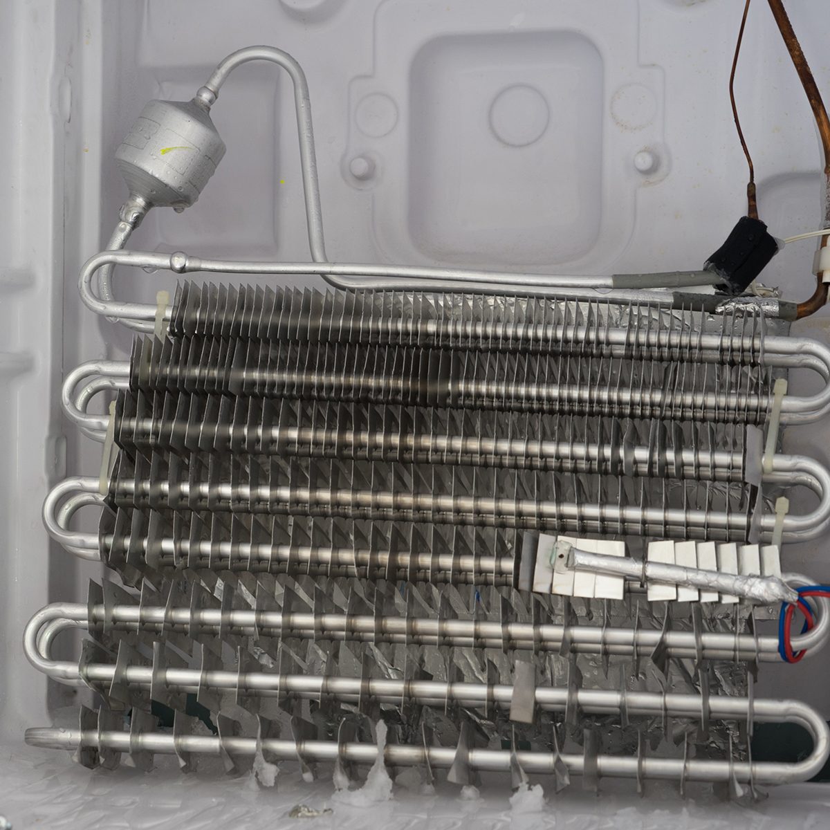 Fridge coils