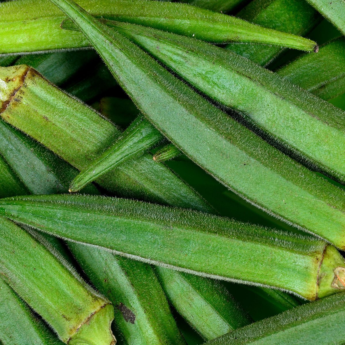 Whole raw okra food background