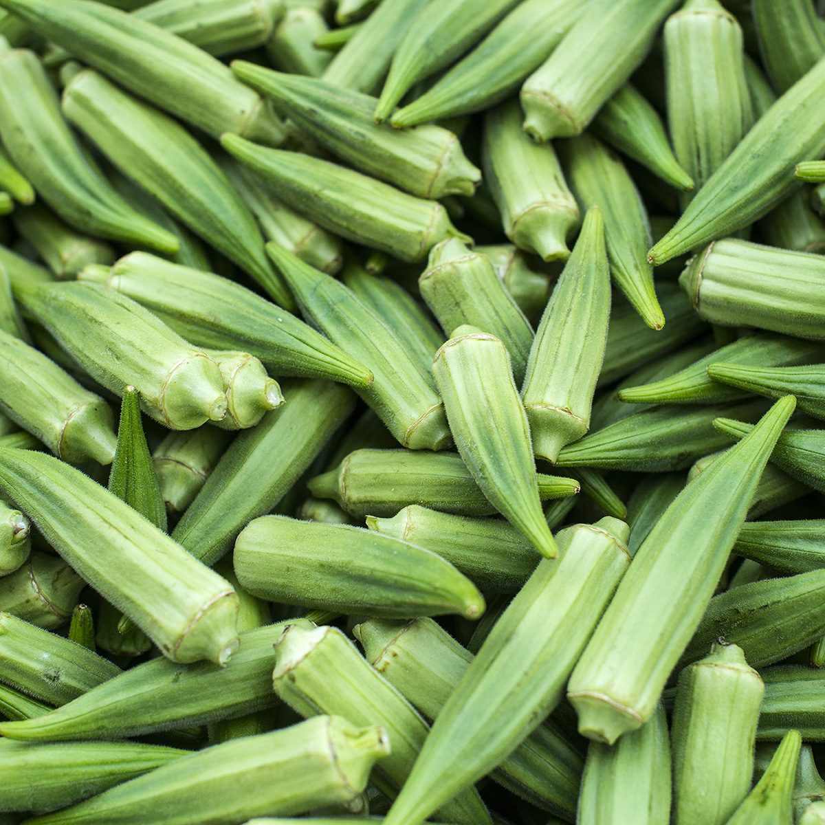 Fresh Okra (lady finger) full frame