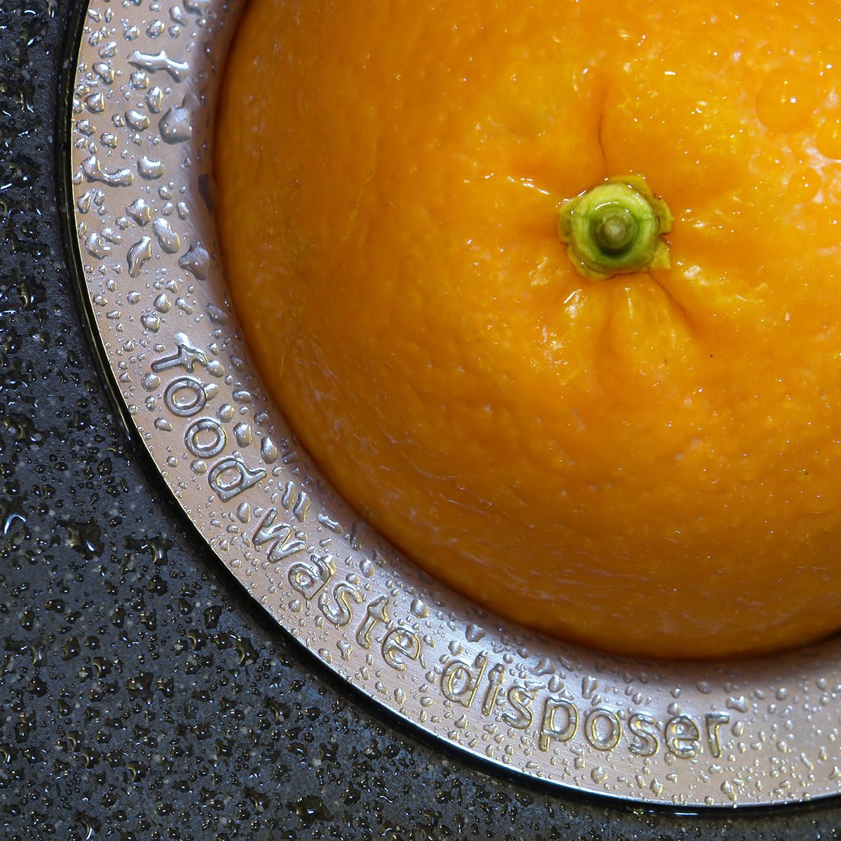 orange in the hole ot hte food waste disposer; Shutterstock ID 24172744; Job (TFH, TOH, RD, BNB, CWM, CM): TOH