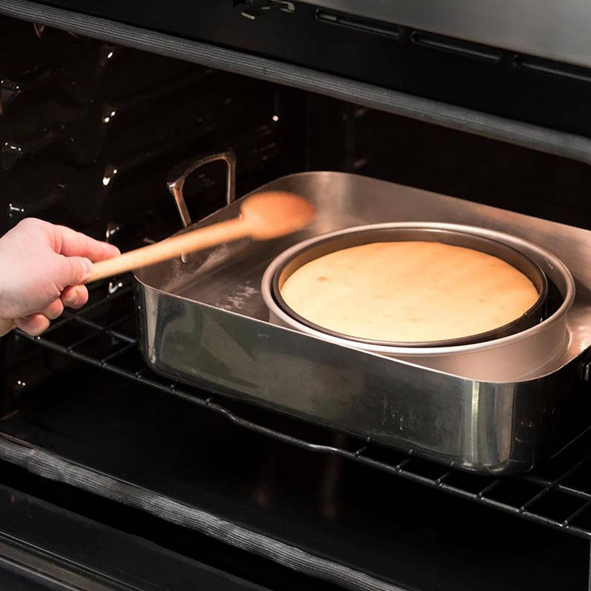 Cheesecake Wobble Test