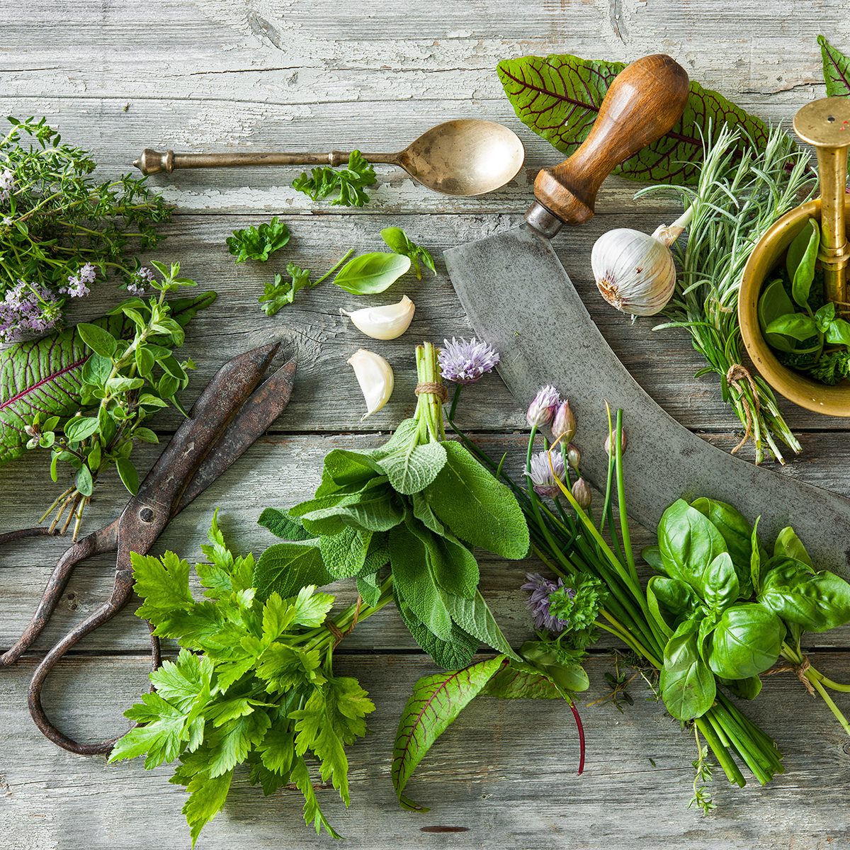 fresh kitchen herbs and spices on wooden table.