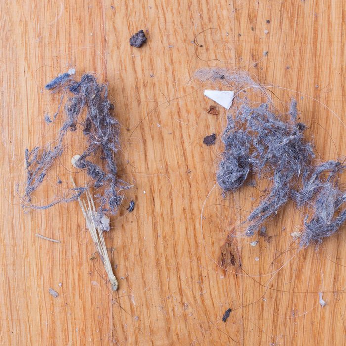 Dust bunnies on wooden floors