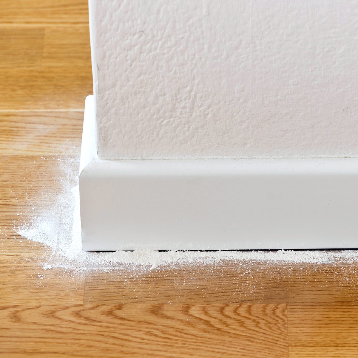 Use baby powder in ant hot spots