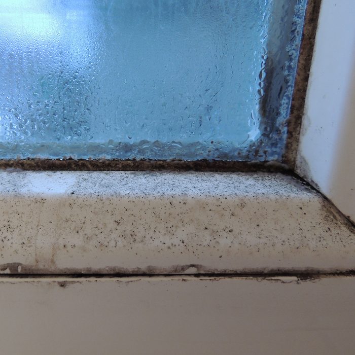 Mold on plastic window frame