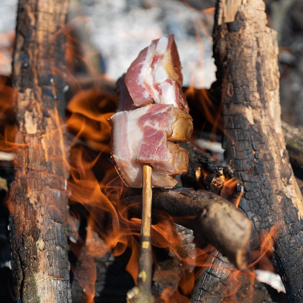 bacon baking spit on fire barbecue camping in the nature stock photo