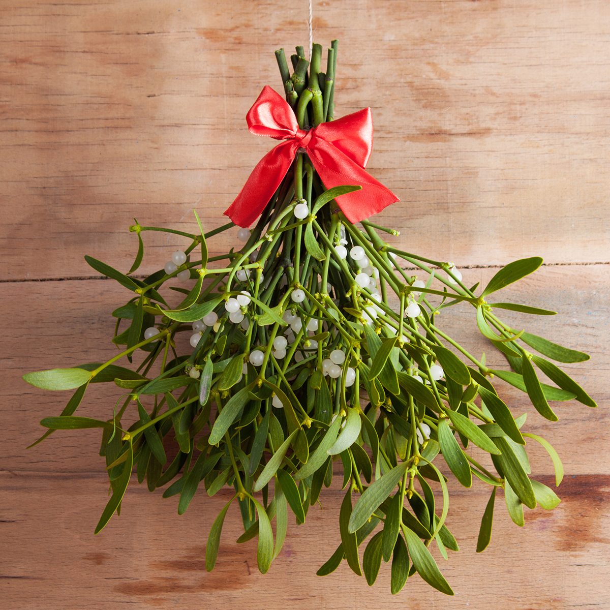 Broom from green mistletoe on wood desk.