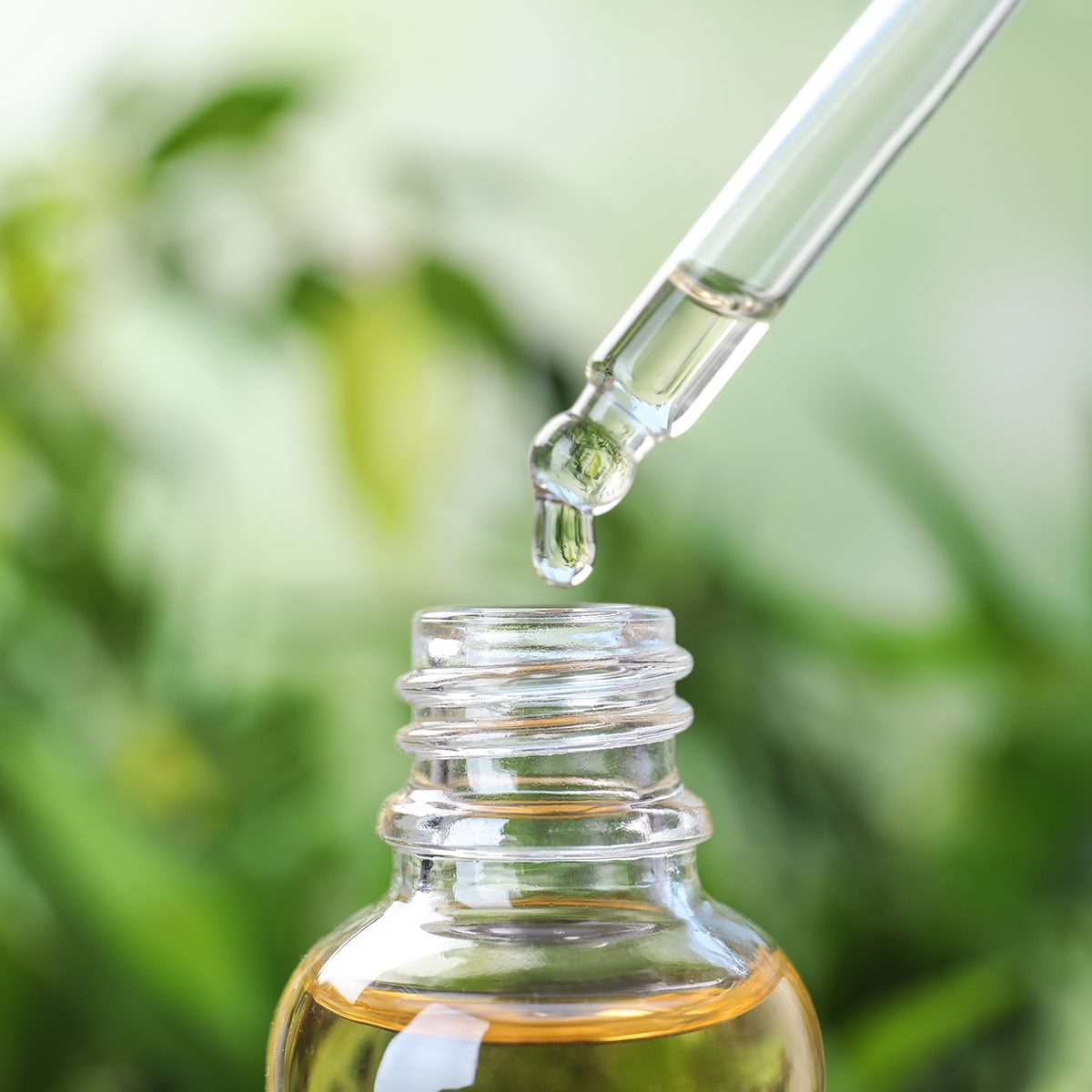 cbd invasion, 2020 food trends, Dropping essential oil into glass bottle on blurred background, closeup; Shutterstock ID 1410303143; Job (TFH, TOH, RD, BNB, CWM, CM): Taste of Home