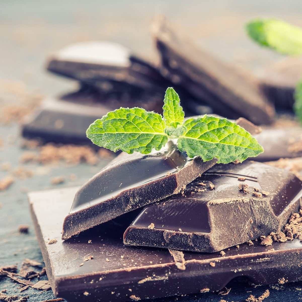 Chocolate. Black chocolate. A few cubes of black chocolate with mint leaves. Chocolate slabs spilled from grated chockolate powder.
