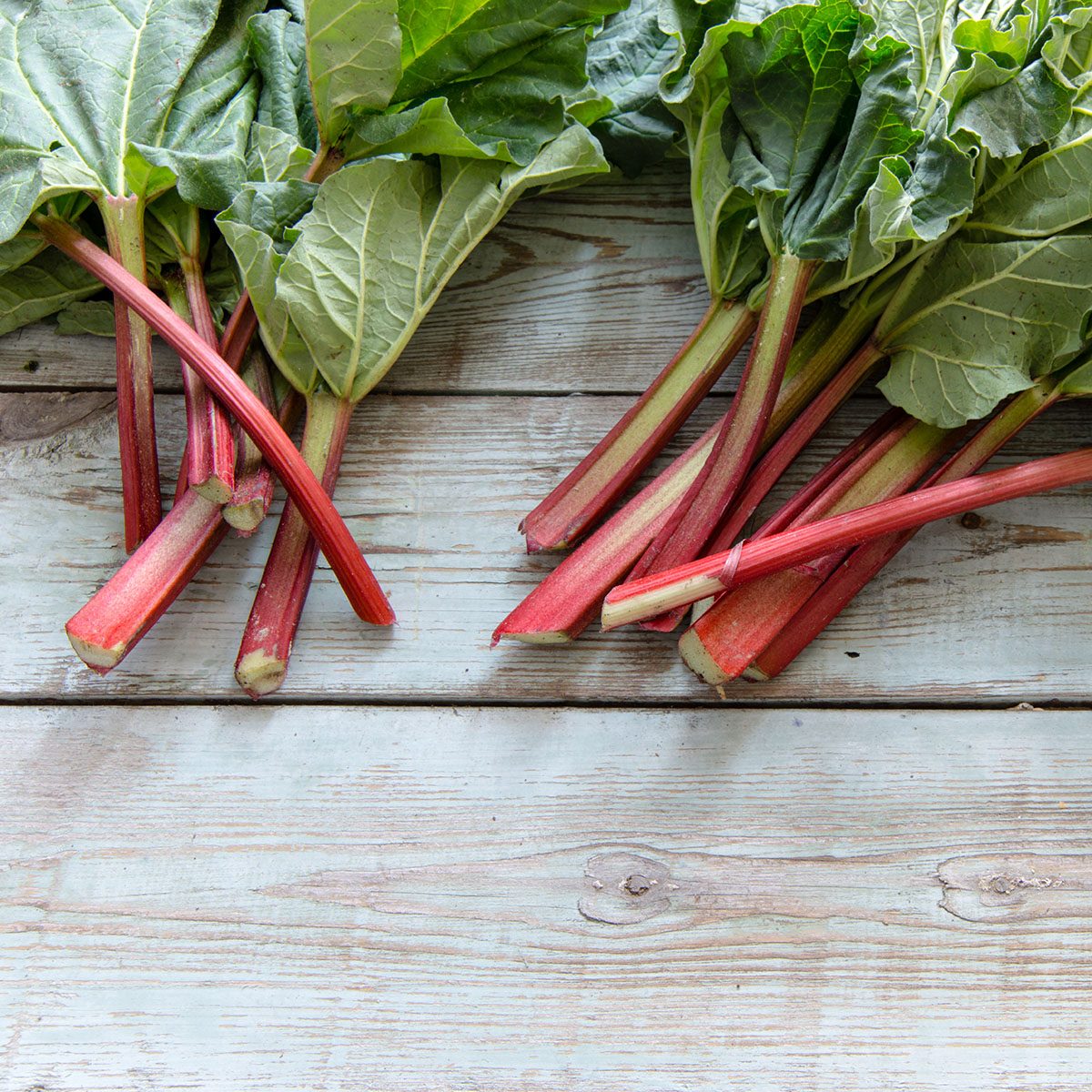 Rhubarb