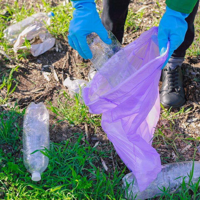 A man removes plastic from the forest, cleans the forest, ecology of the environment, forest pollution, cleaning the flora