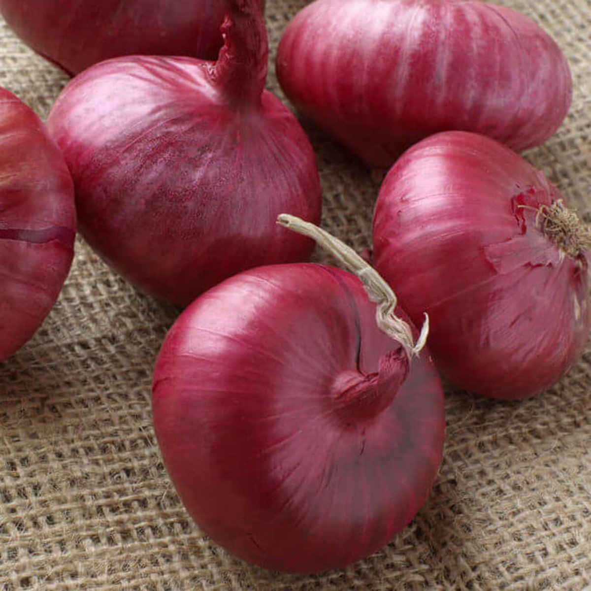 Red onions