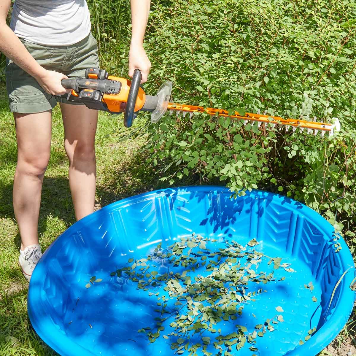 HH kiddie pool bush clippings