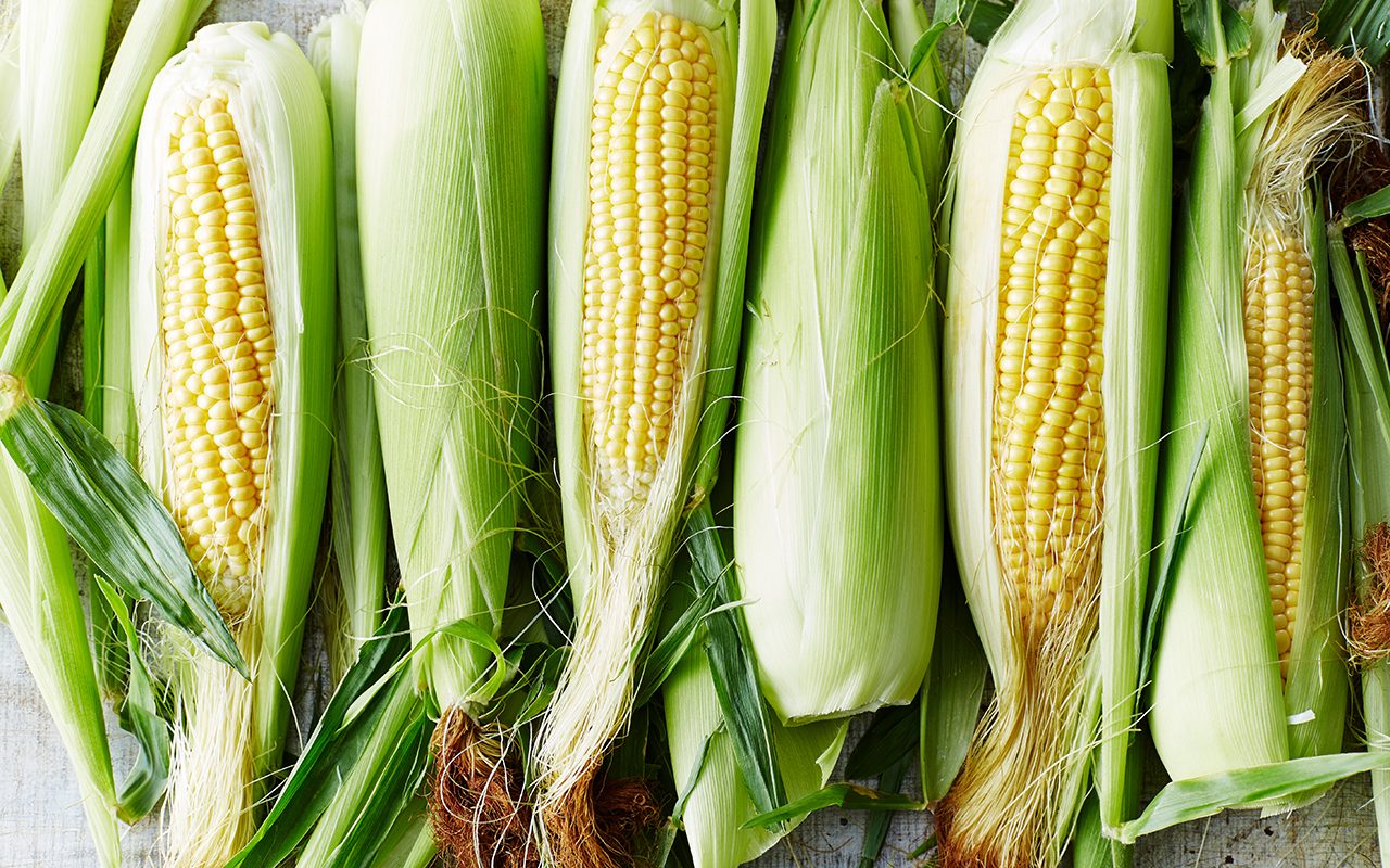How to Store Corn on the Cob