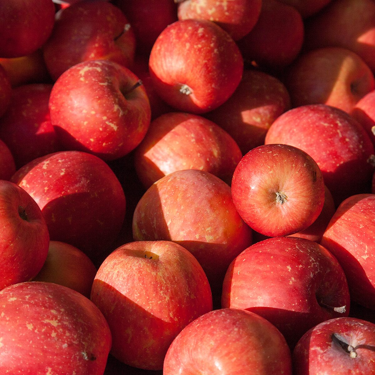 Close-up of stack of Fuji apples at a market