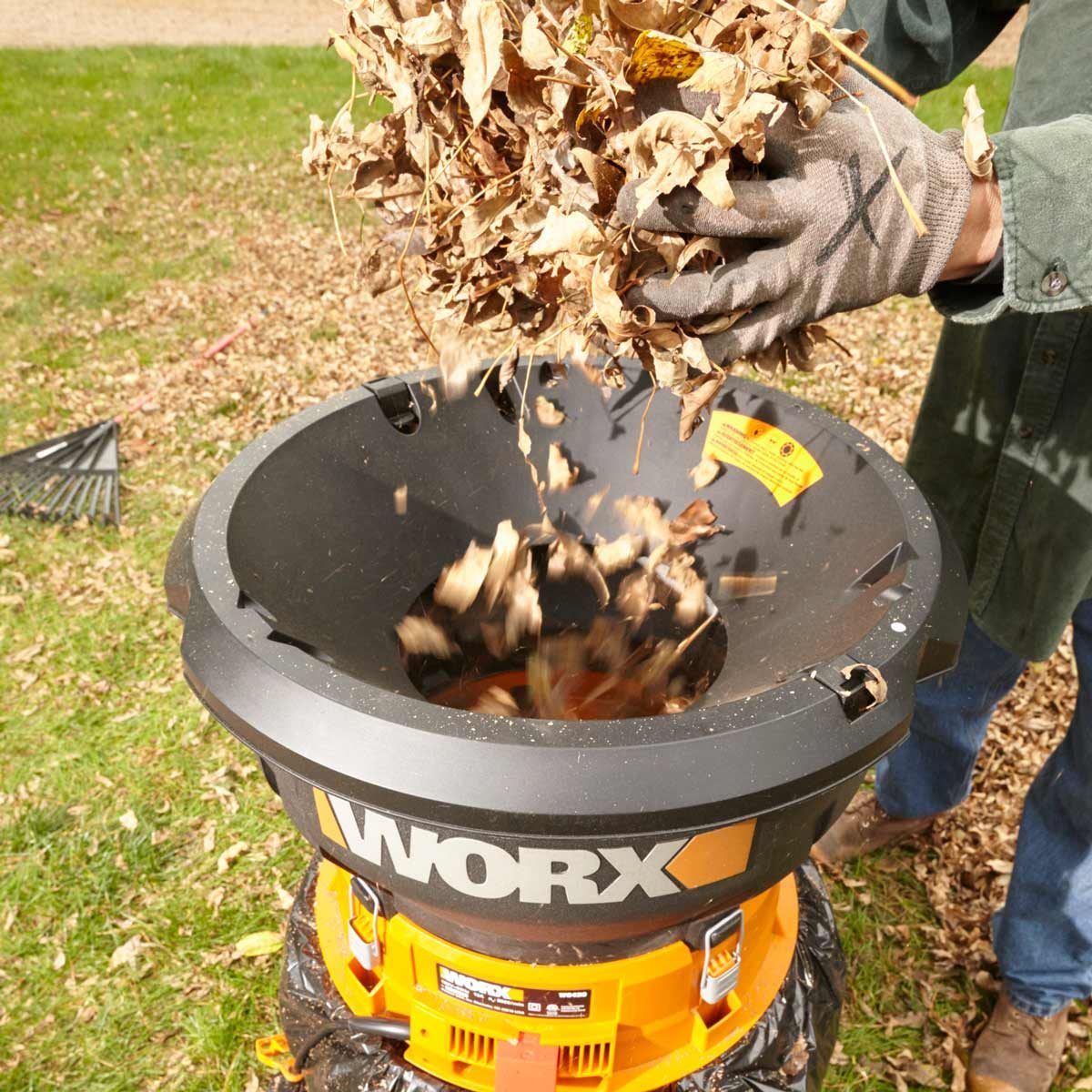 Man dumps leaves into an electric leaf mulcher
