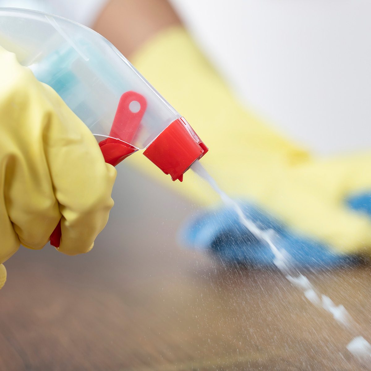 Unrecognisable woman cleaning home.