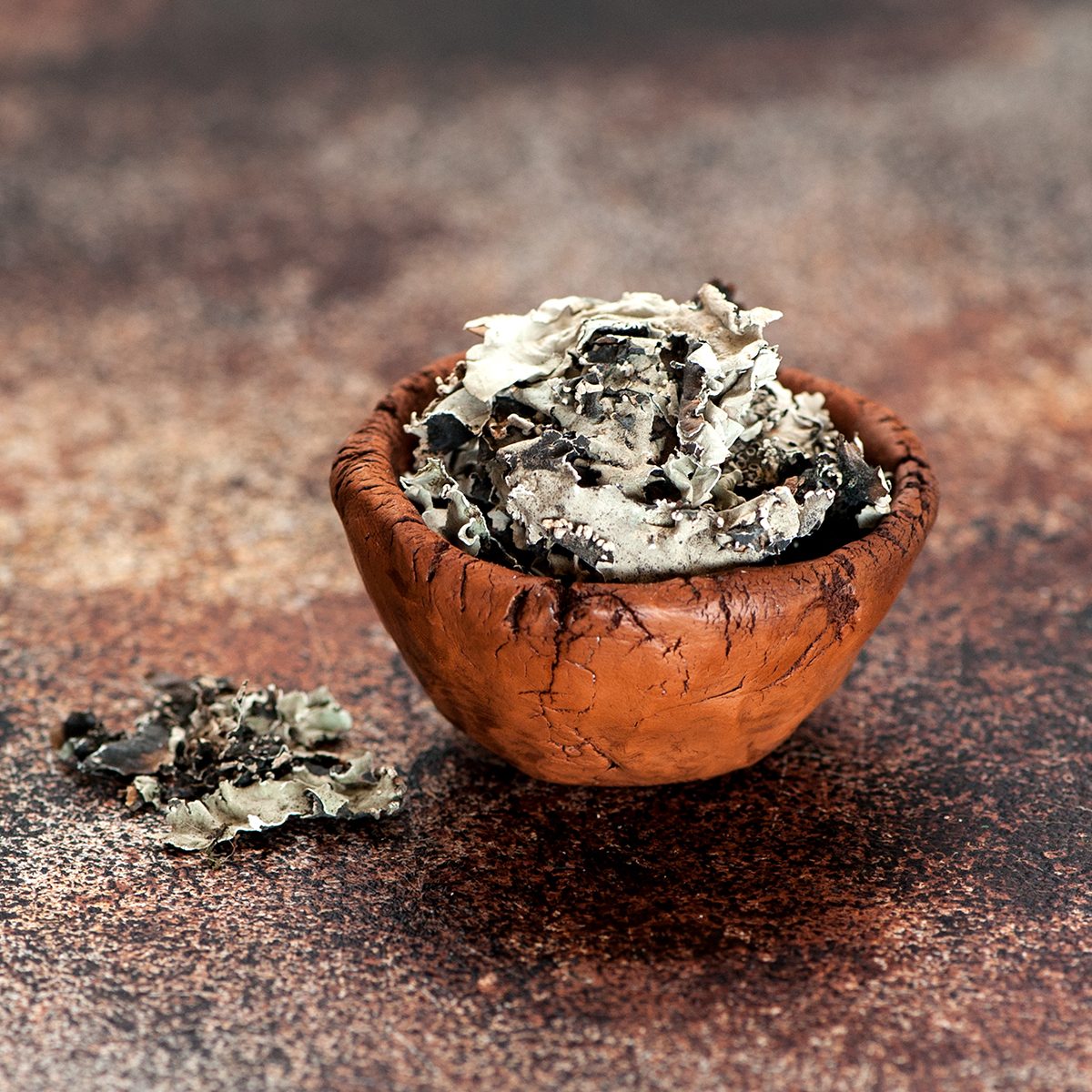 BLACK STONE FLOWER. Parmotrema Perlatum. KALPASI Dagad Phool. spices