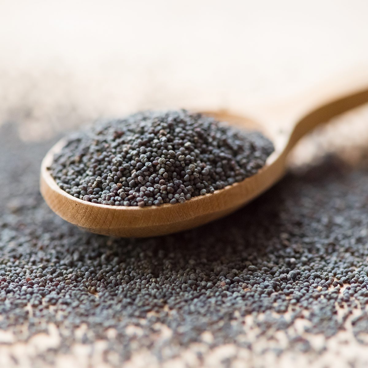 indian spices Wooden spoon with poppy seeds, close-up