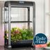 AeroGarden Review: We're Obsessed with This High-Tech Gadget for Indoor Gardening