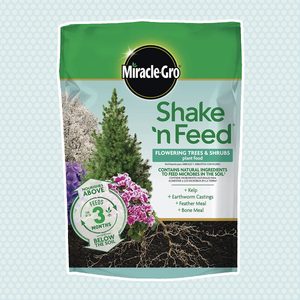 Miracle Gro Shake Flowering Trees Shrubs
