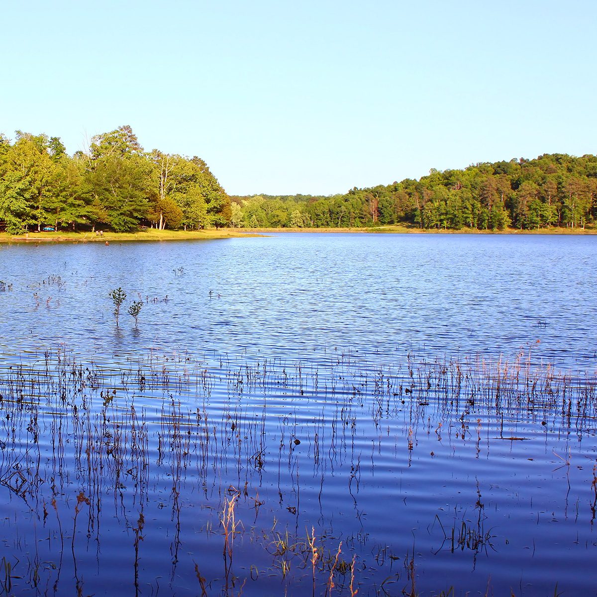 Tishomingo State Park Mississippi