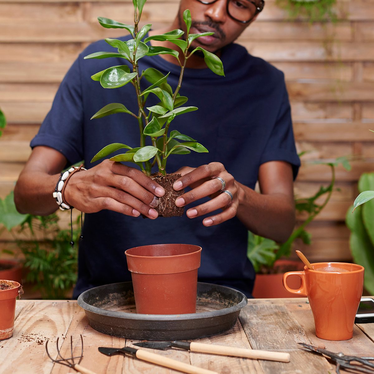 backyard entertainment ideas Young Man Repotting A Plant On His Terrace
