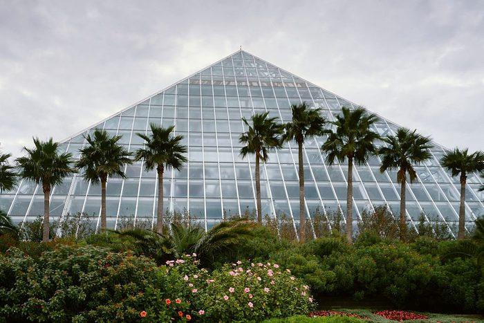 Moody Gardens, Galveston, Texas